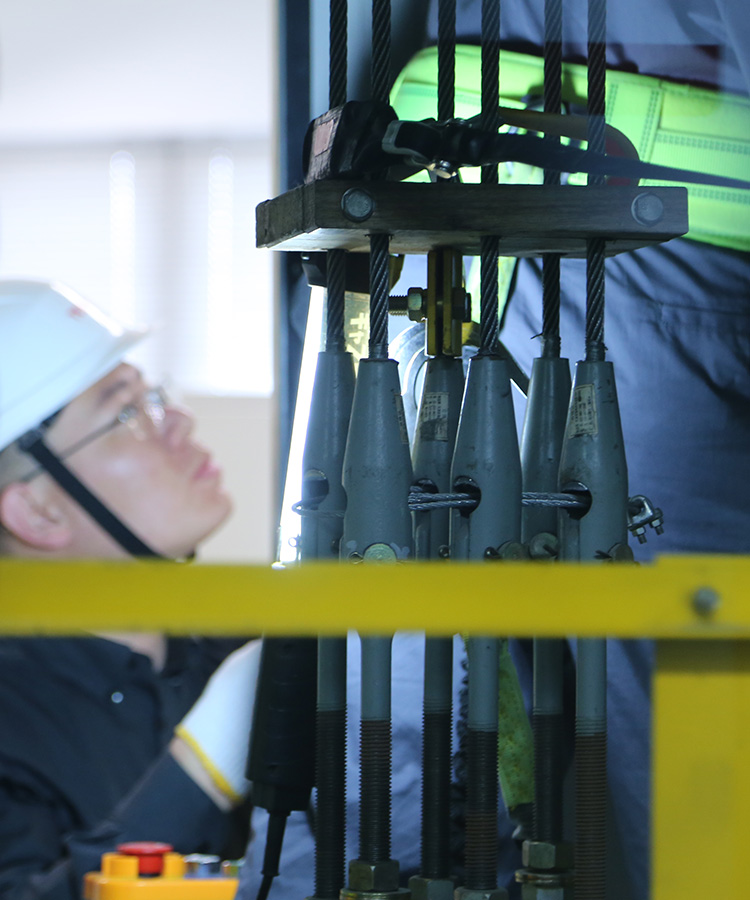 專項(xiàng)排查